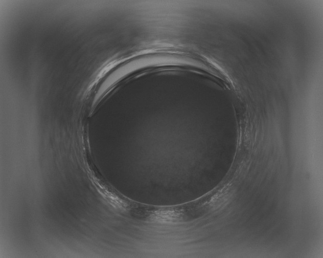X0000056361455200508291332