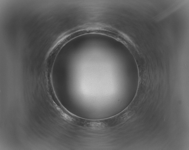 X0000056361456200508291332