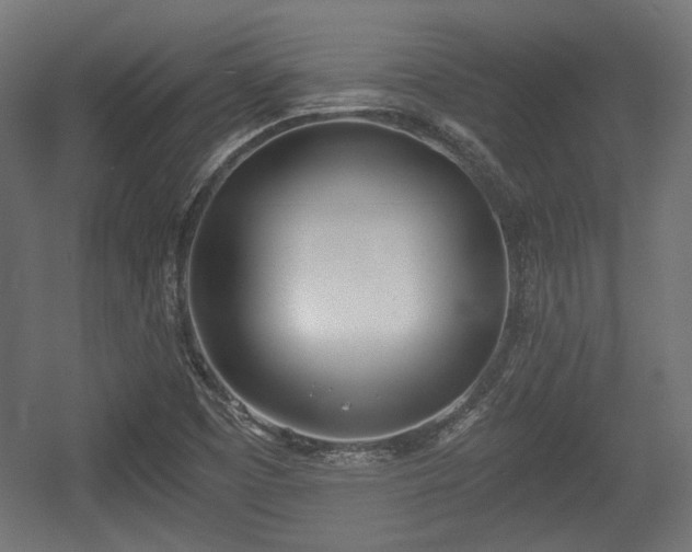 X0000056361457200508291332