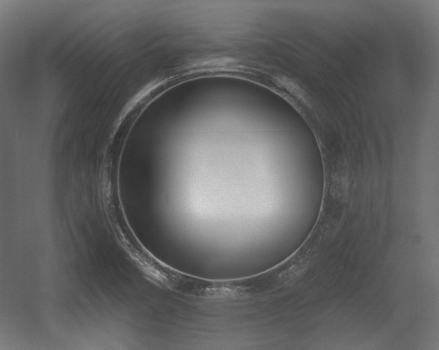X0000056361458200508291332