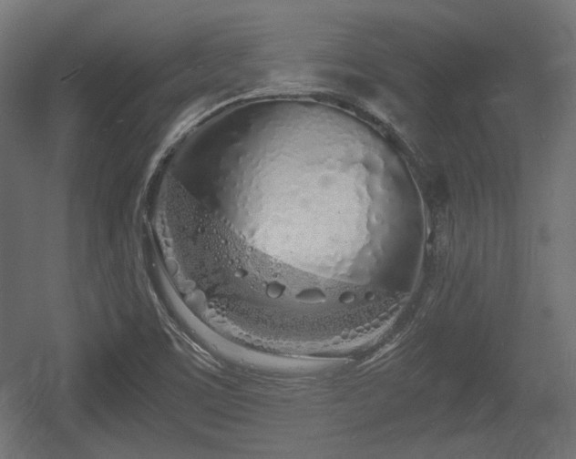 X0000056361459200508291332