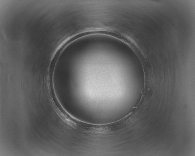 X0000056361460200508291332