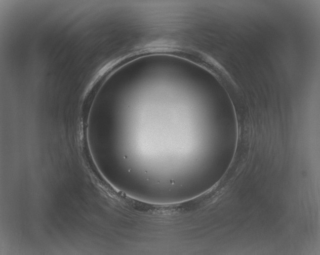 X0000056361461200508291332