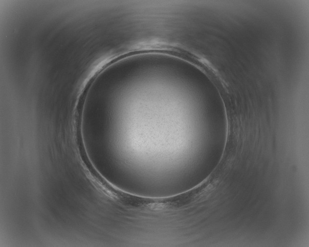 X0000056361463200508291332