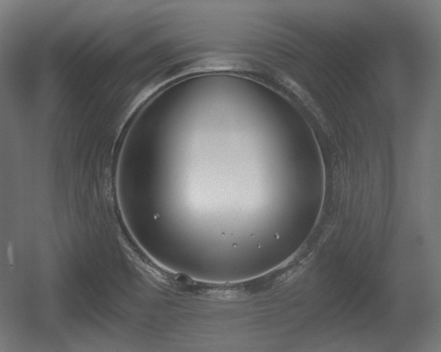 X0000056361465200508291332