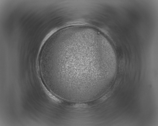 X0000056361466200508291332