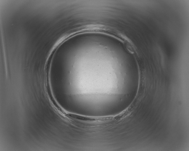 X0000056361467200508291332