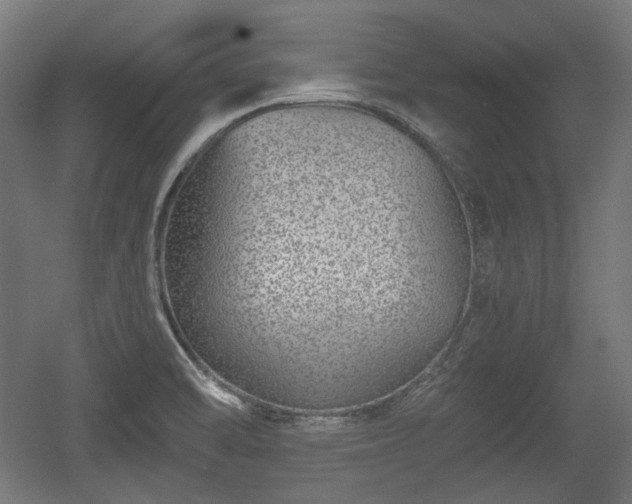 X0000056361470200508291331