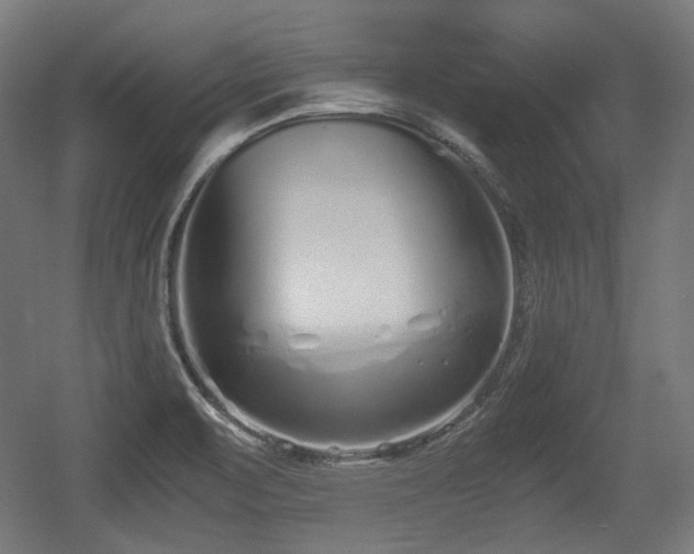 X0000056361471200508291331