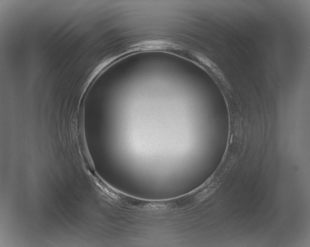 X0000056361473200508291331