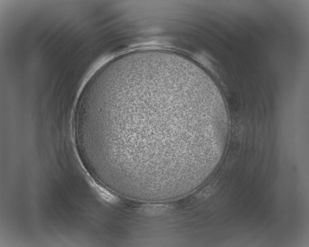 X0000056361474200508291331