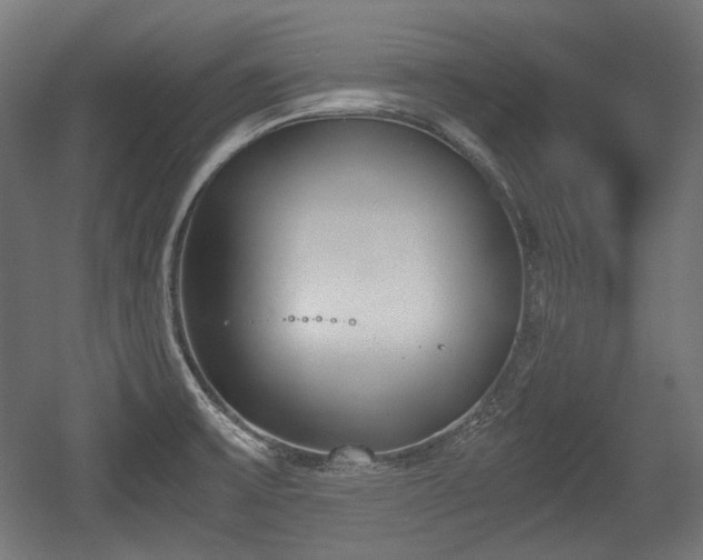 X0000056361475200508291331