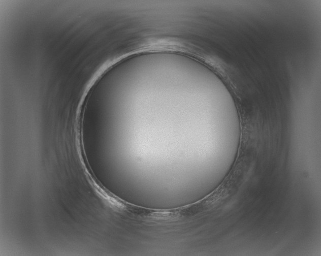 X0000056361478200508291331