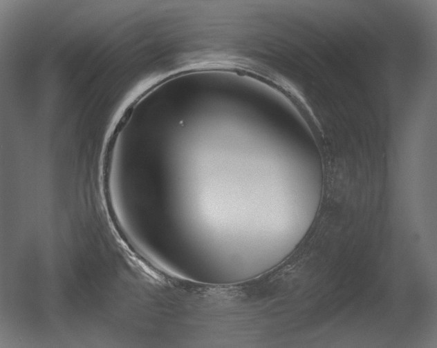 X0000056361480200508291331