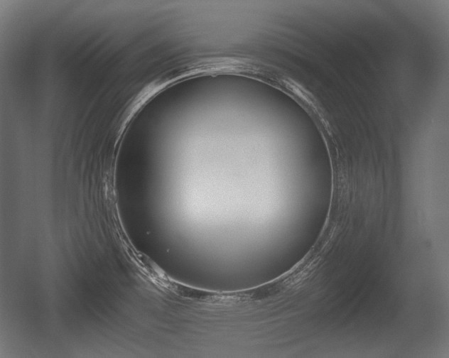 X0000056361481200508291331