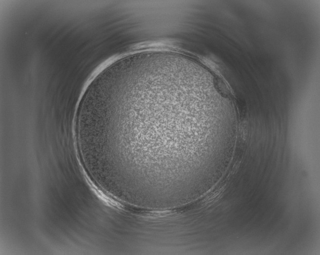 X0000056361482200508291331