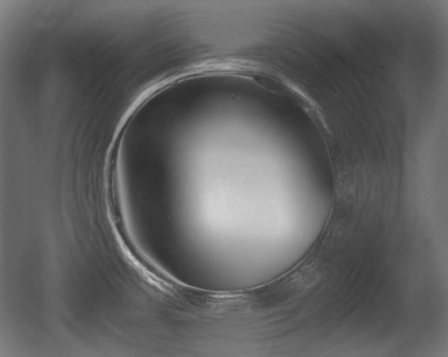 X0000056361483200508291331