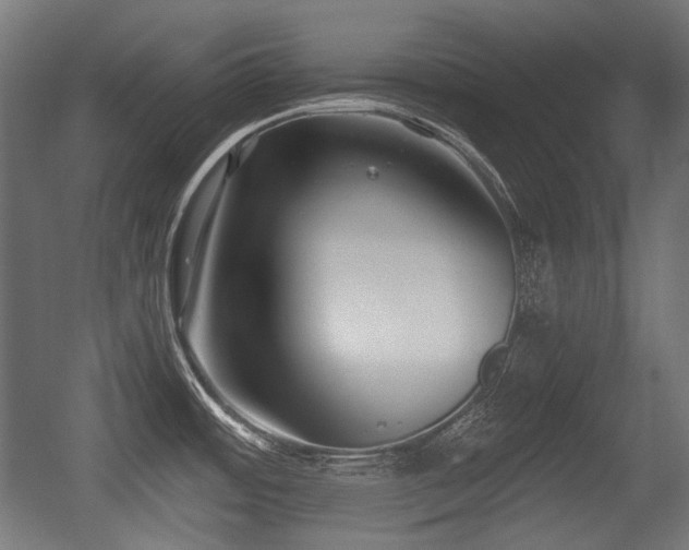 X0000056361484200508291331