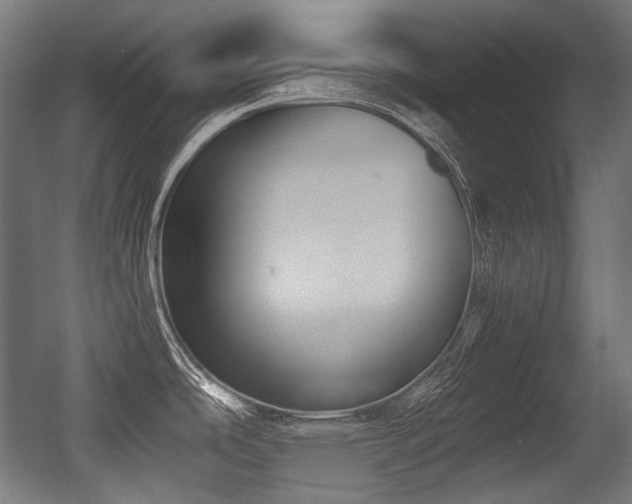 X0000056361486200508291331