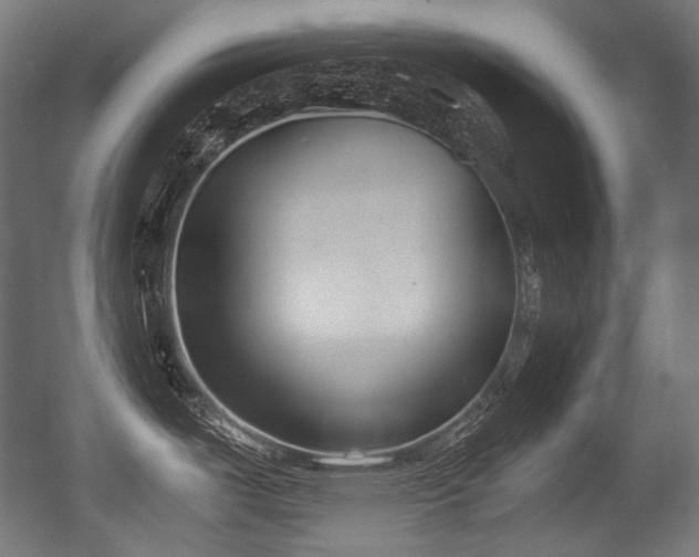 X0000056361487200508291331