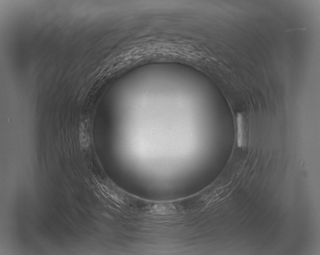 X0000056361491200508291330