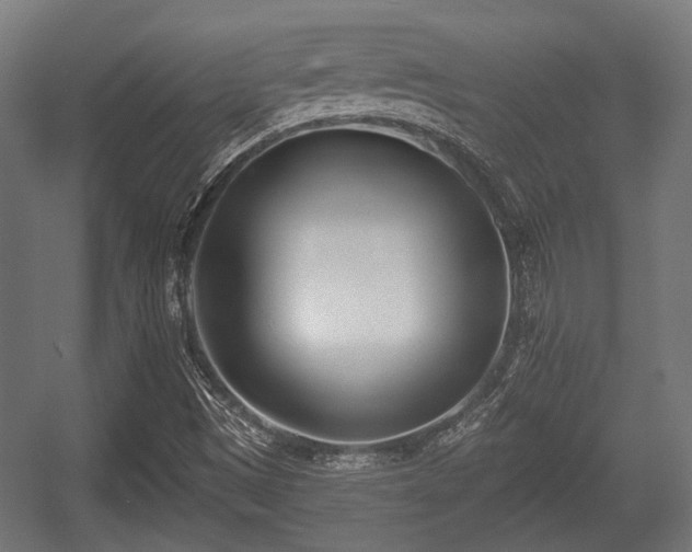 X0000056361497200508291330