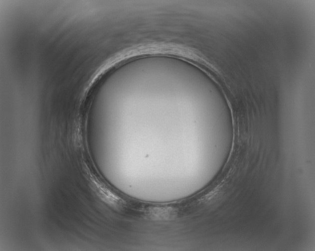 X0000056361498200508291331