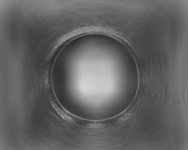X0000056361499200508291331
