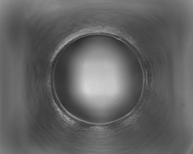 X0000056361500200508291331
