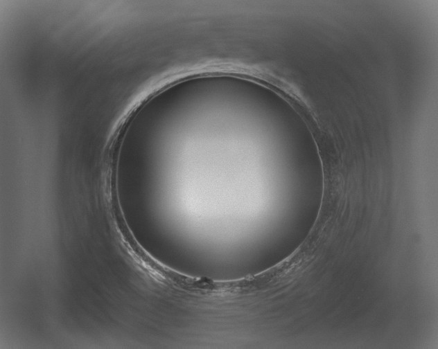 X0000056361504200508291331