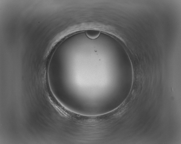 X0000056361507200508291331