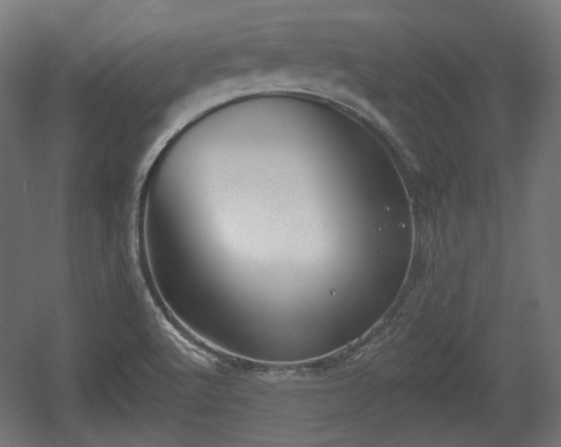 X0000056361512200508291331