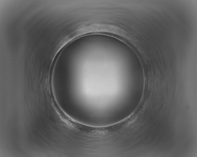X0000056361513200508291331