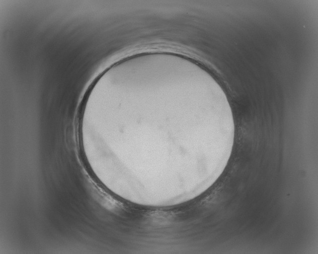 X0000056361514200508291331