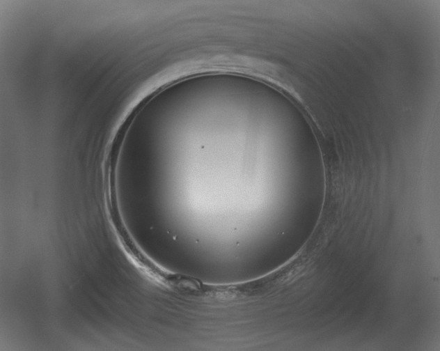 X0000056361515200508291331