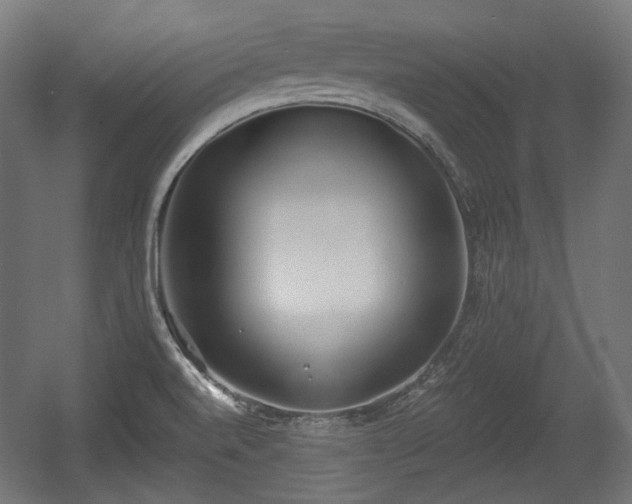 X0000056361520200508291331