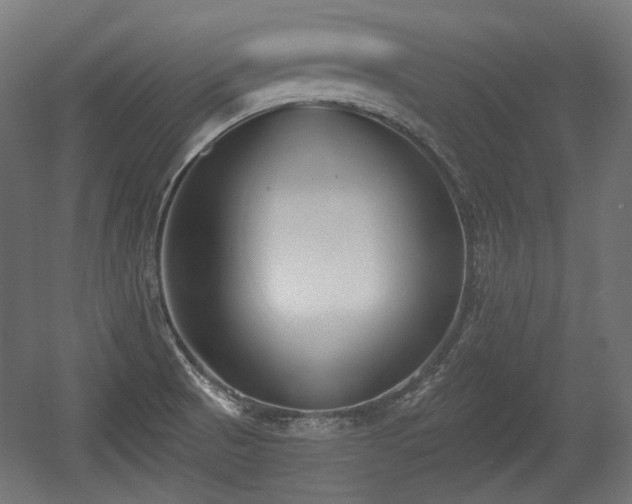 X0000056361521200508291331