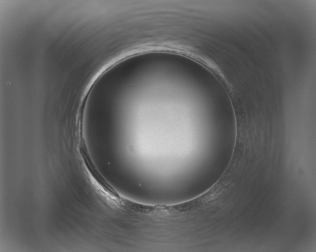 X0000056361524200508291331