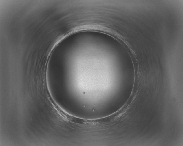 X0000056361529200508291331