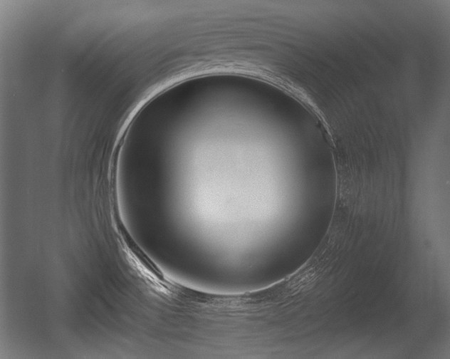 X0000056361532200508291331
