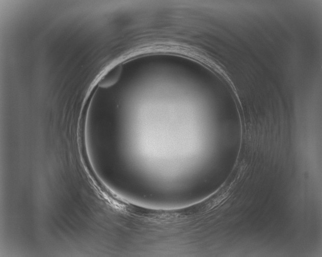 X0000056361533200508291331