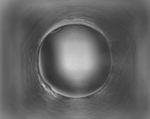 X0000056361534200508291331