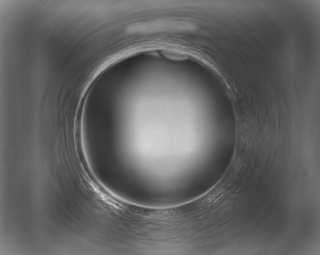 X0000056361535200508291331