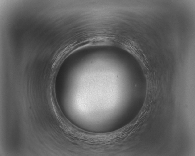 X0000056360001200509021800