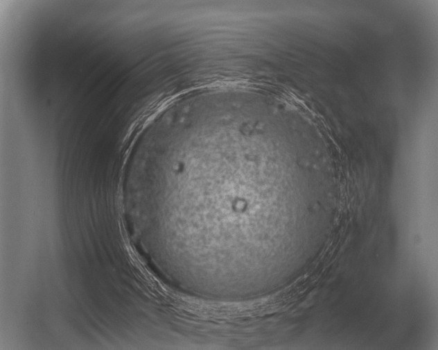 X0000056360002200509021800