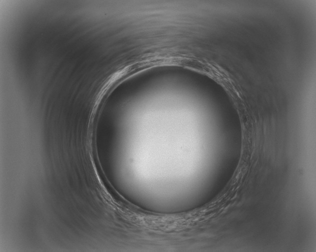 X0000056360003200509021800