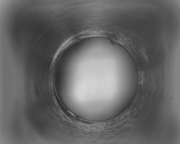 X0000056360004200509021800