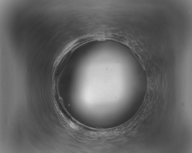 X0000056360005200509021800