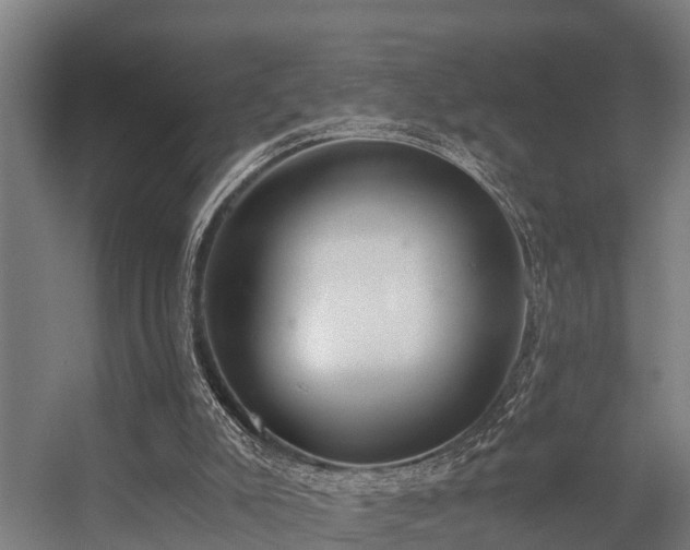 X0000056360007200509021800