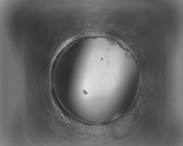 X0000056360008200509021800